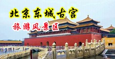 美女被操逼逼玩奶子的视频中国北京-东城古宫旅游风景区